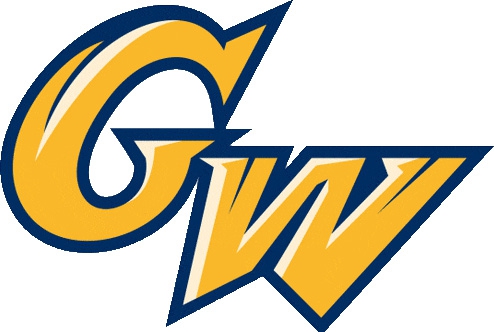 George Washington University