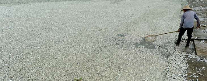 Our research in China’s estuaries offers glimpses of a dire future: a world without effective antibiotics