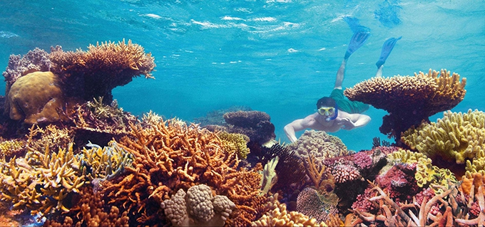 Top tips for students planning to study abroad