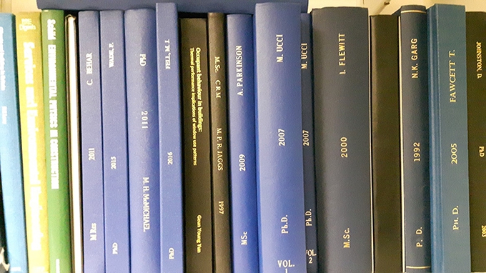 What do examiners think of the PhD by publication?