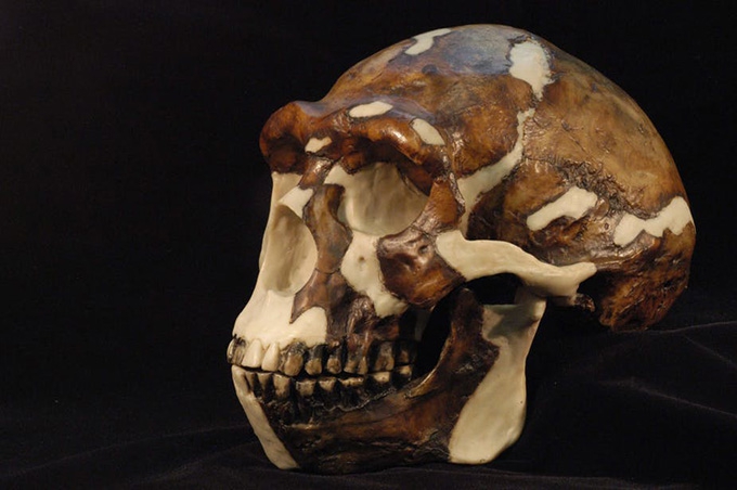 Virtual reality breathes new life into African fossils, art and artefacts