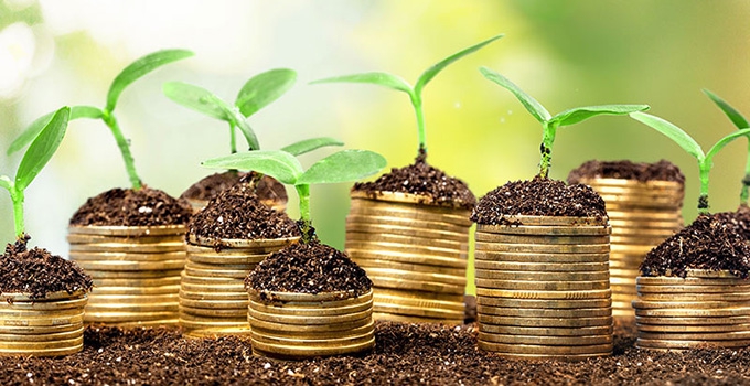 Green finance? Why global banks are pledging billions to fight climate change