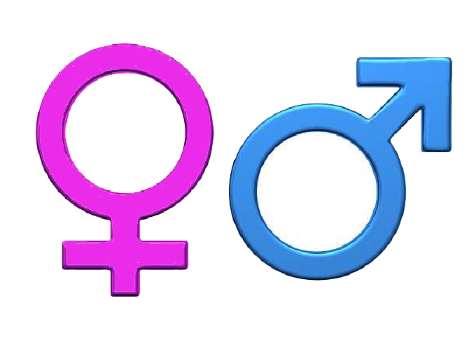 Student in Christianity class says there are 2 genders, gets tossed