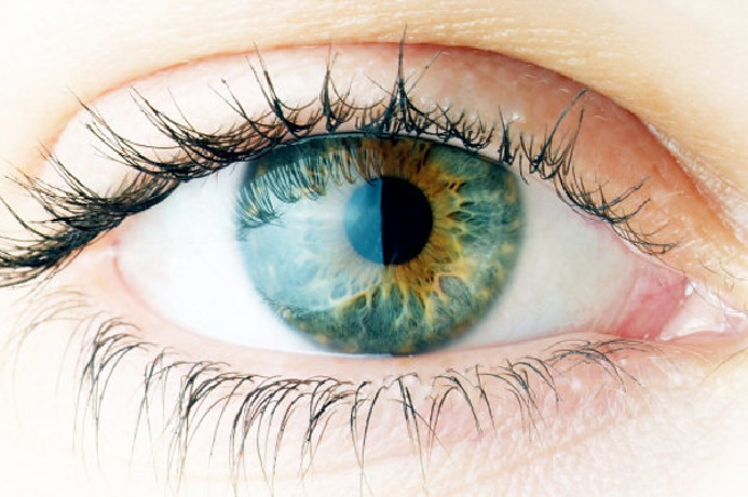 The way you see colour depends on what language you speak