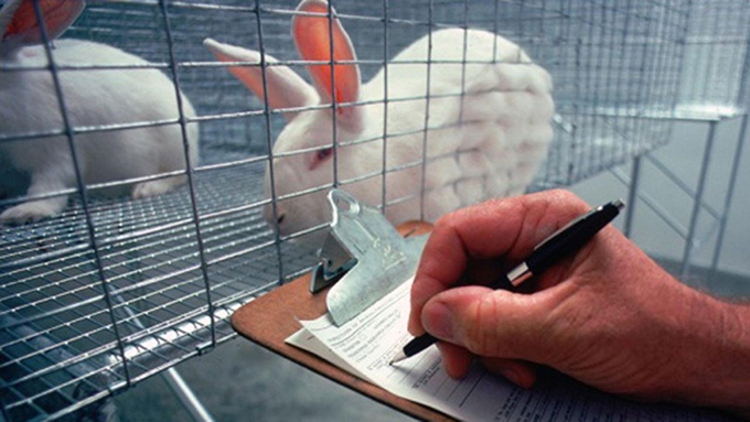Using animals in biomedical research: why education holds the key