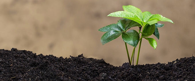 Debate: Mobilizing collective intelligence in the service of ecological transition