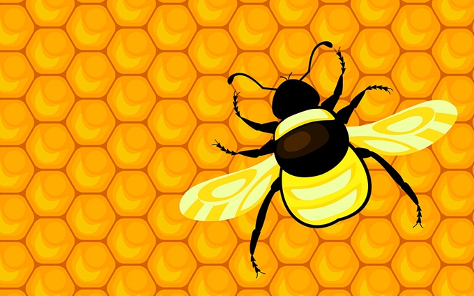 Can bees do maths? Yes – new research shows they can add and subtract