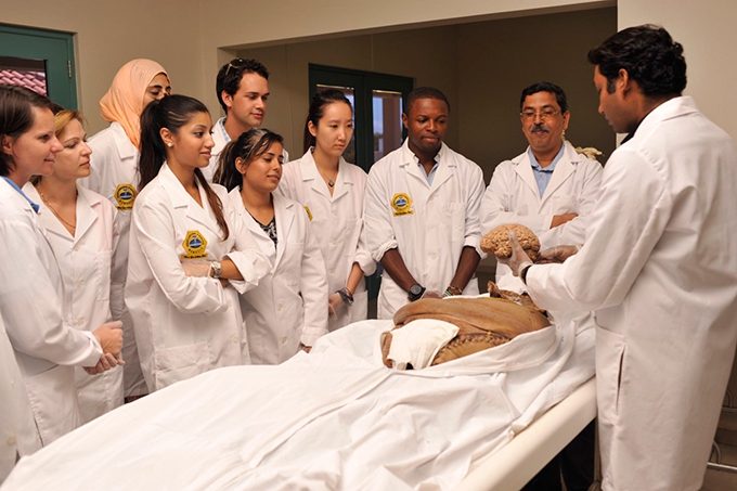 Pay less for your Higher Education and enjoy a rewarding career