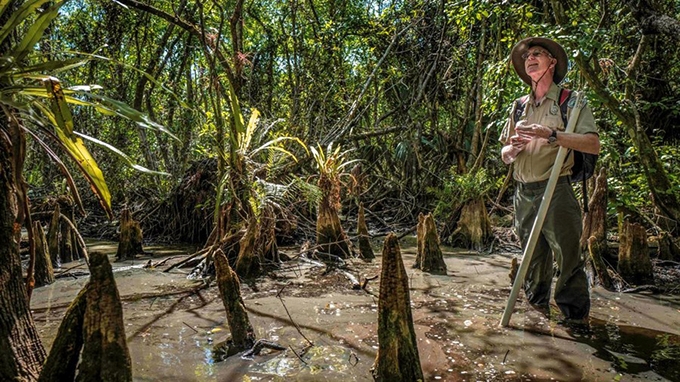 SwampScapes: A virtual reality field trip through South Florida’s Everglades
