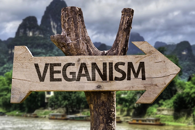 “The other side of words”: Veganism