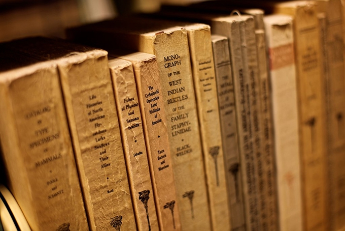 From thesis to monograph