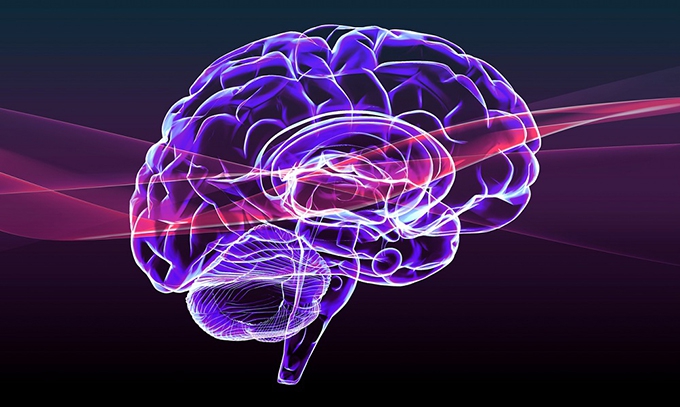 Why all teachers should understand how the brain works