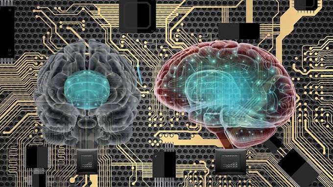 Computers with human neurons are already being sold: where does the machine end and the living begin?