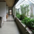 Auto light deprivation: Grow under the sun with the control of an indoor environment