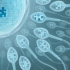 Asian countries leading IVF desitination