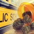 Marijuana at school: Loss of concentration, risk of psychosis