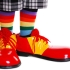Do you need clown shoes? Finding a research job during Covid lockdowns