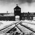It’s not just about the rise in anti-Semitism: why we need real stories for better Holocaust education in Australia