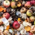 About one-third of the food Americans buy is wasted, hurting the climate and consumers’ wallets