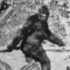 Lots of people believe in Bigfoot and other pseudoscience claims – this course examines why