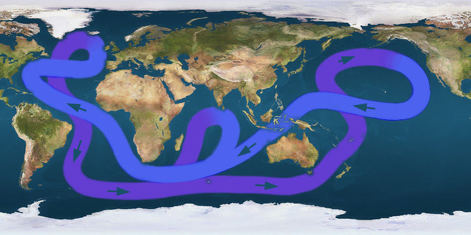  Colder deep water currents are purple, while warm surface currents are blue. Luis Fernández García / wiki, CC BY-SA 