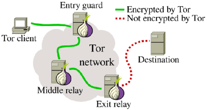 The structure of the Tor network. Tor clients randomly select three relays that forward network traffic between the client and a server – for example, Facebook. While Tor internally encrypts network traffic (see the solid green line), it is important to understand that Tor can no longer encrypt network traffic once it leaves the Tor network (see the dotted red line). Philipp Winter 