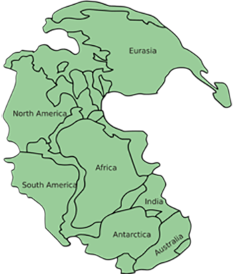 A map of the original supercontinent, Pangaea, with modern continent outlines. Kieff, 