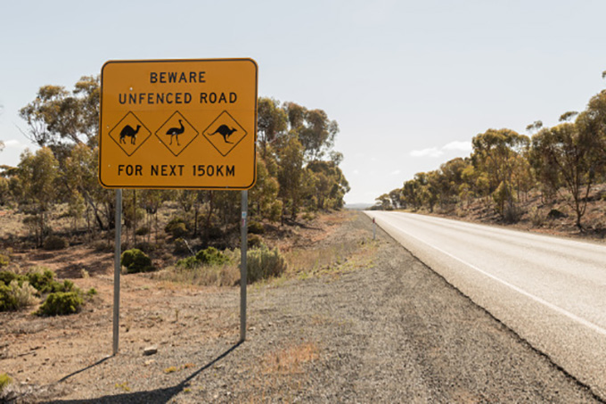 Eyre Highway, Norseman, Western Australia