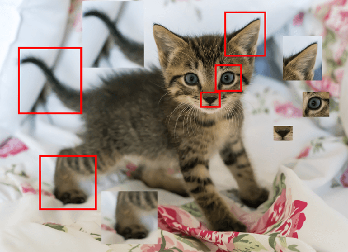  In computer vision, features are the parts of an image that are used to classify an object. For example, the nose, ears and tail may be used as features to distinguish that a picture is a cat. Modified from pixabay.com 