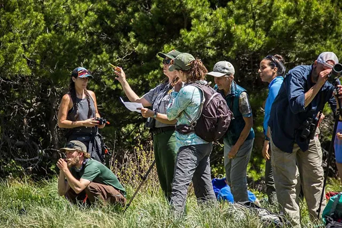 Counting birds, identifying plants: does participatory science really advance research?