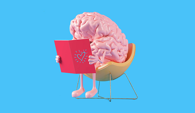 How our brain learns to read: from reading mechanics to comprehension