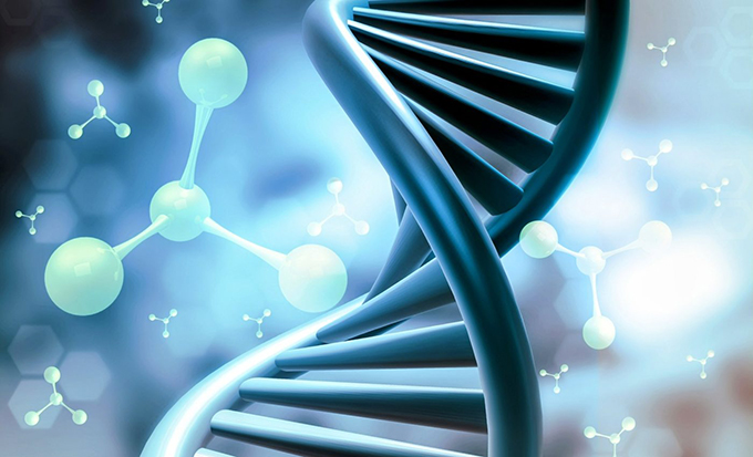 How AI learns the secret language of DNA, and what research gains from it