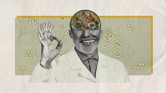 Anyone can fake a scientific image with AI, tricking even academic journals – and undermining trust in science